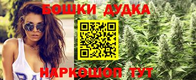 ECSTASY Новозыбков