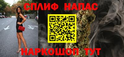 ECSTASY Новозыбков