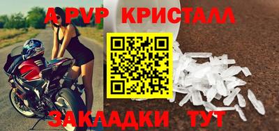 ECSTASY Новозыбков