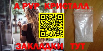 ECSTASY Новозыбков